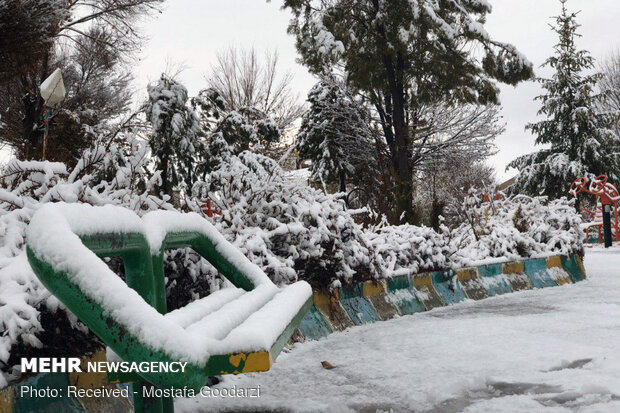 Snow blankets Delfan county in Lorestan province