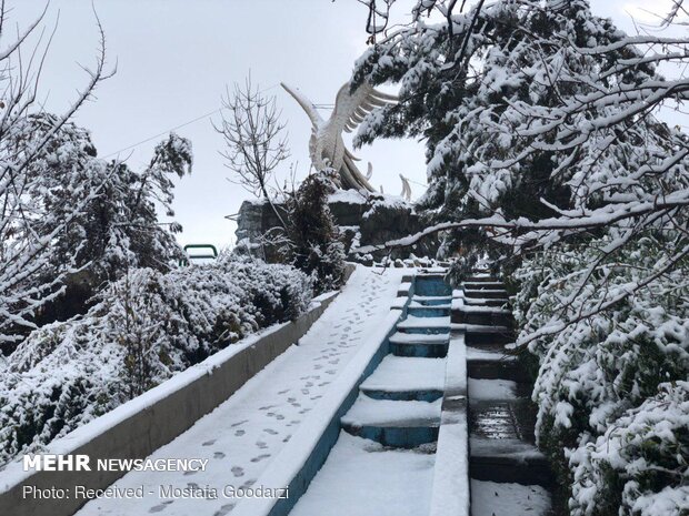 Snow blankets Delfan county in Lorestan province