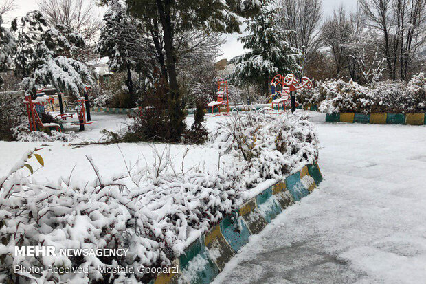 Snow blankets Delfan county in Lorestan province