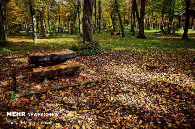 Mesmerizing scenery of autumn in Golestan province 