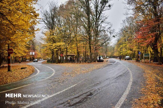 Mesmerizing scenery of autumn in Golestan province 