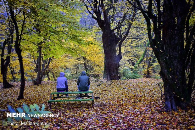 Mesmerizing scenery of autumn in Golestan province 