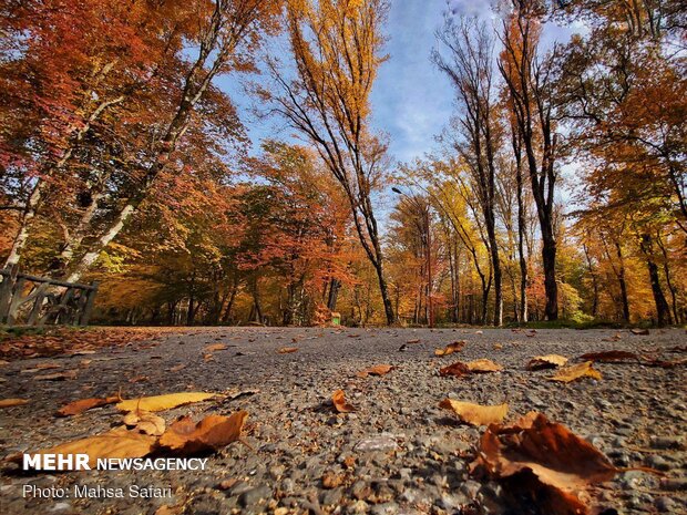 Mesmerizing scenery of autumn in Golestan province 