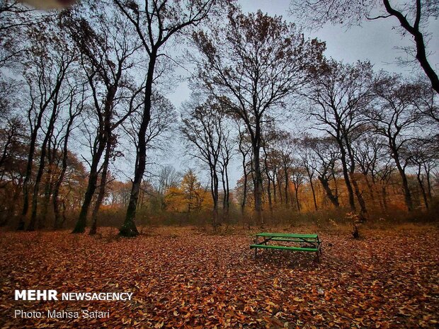 Mesmerizing scenery of autumn in Golestan province 