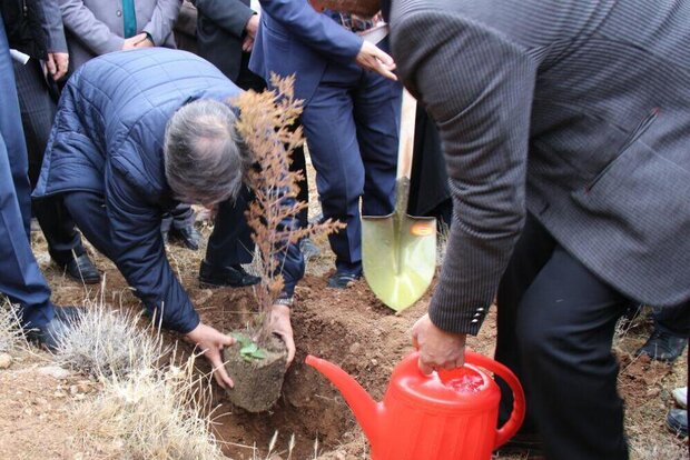 ۷۰ درصد بارندگی‌ها در استان سمنان تبخیر می‌شود