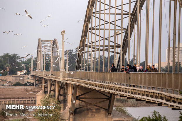 Migratory birds return to Karun