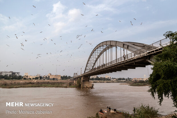 Migratory birds return to Karun