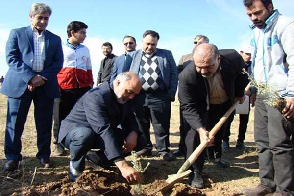 کاشت ۶۱هزارنهال درملاردو۳۹هزار اصله نهال جنگلی در وردیج و آبعلی 