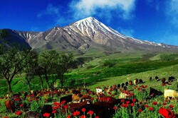 International Mountain Day: natural treasure must be protected