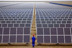 ظرفیت تولید انرژی خورشیدی در استان بوشهر به‌خوبی استفاده نشده است