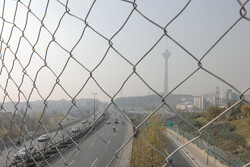 هوای تهران در وضعیت ناسالم برای گروه‌های حساس قرار گرفت