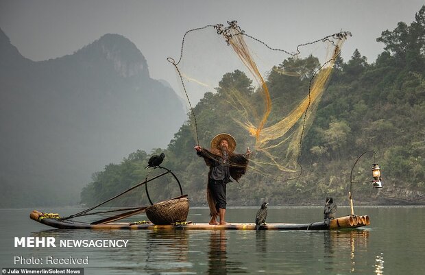 اصطياد السمك بطريقة الصياد الصيني