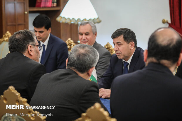 Shamkhani, Tajik Secretary of National Security hold talks