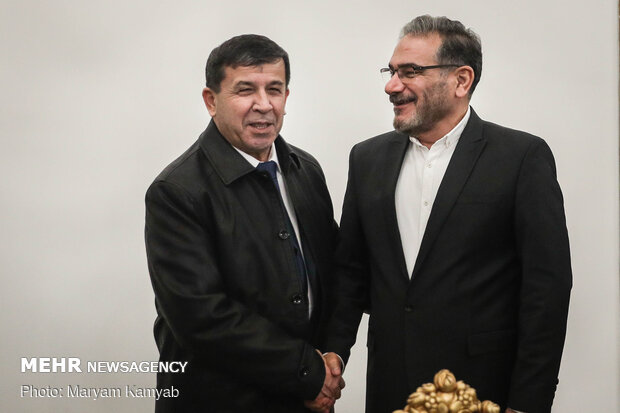 Shamkhani, Tajik Secretary of National Security hold talks