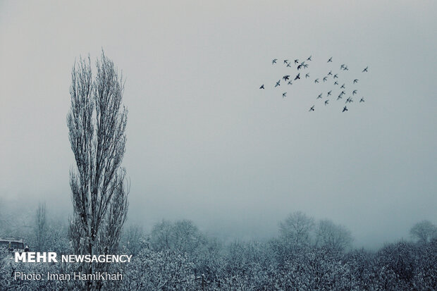 Magnificent wintry view of Silvar village in Hamedan