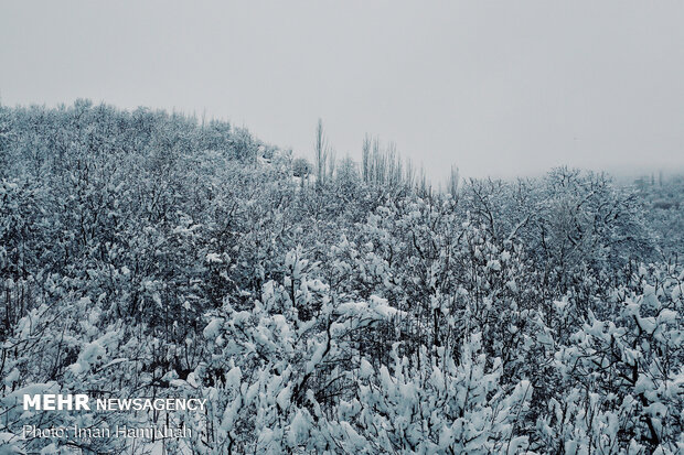 Magnificent wintry view of Silvar village in Hamedan