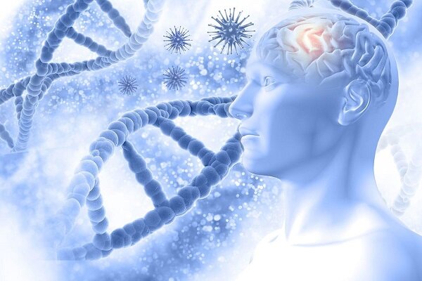 ژن زوال عقل ریسک ابتلا به بیماری کووید ۱۹ را افزایش می دهد