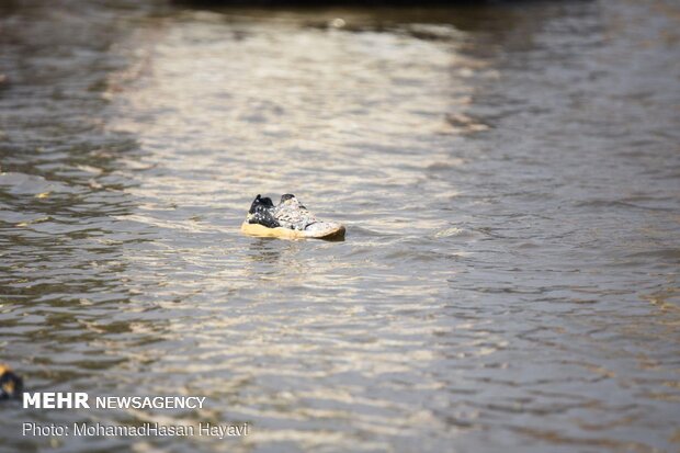 دو روز بعد از بارندگی آبادان همچنان غرق در آب