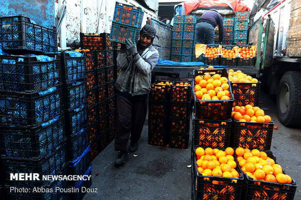 توسعه کیفی و کمی بازارهای میوه و تره بار در سال ۹۹ شتاب می‌گیرد