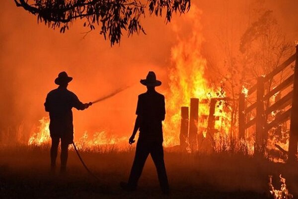 VIDEO: Emergency declared as bushfires rage on near Sydney