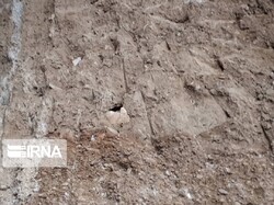 Historical potteries, human bones unearthed in Iranian town