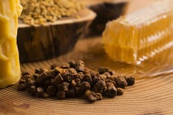 شركة معرفية ايران تصنع من "عكبر النحل" مضاداً حيوياً طبيعياً يعالج الأنفلوانزا