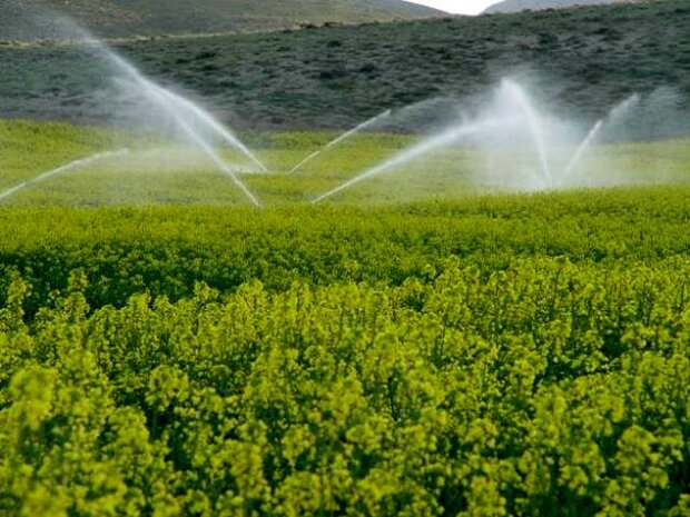 افتتاح طرح آبیاری تحت‌فشار در ۳۰ هکتار از اراضی کشاورزی خرم‌آباد