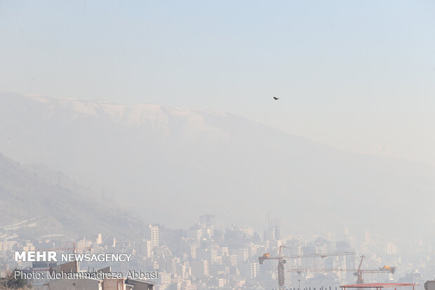 مراجعه ۵۷۵۳بیمار قلبی و تنفسی طی ۵ روز اخیر به اورژانس تهران