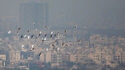Air pollution choking Iranian cities, some 14,000 hospitalized