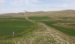 Photo depicts parts of a newly-discovered stone wall, which is stretched about 115 kilometers, in Sar Pol-e Zahab county, western Iran.
