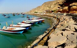 Coastal, forest tourism development plan being prepared