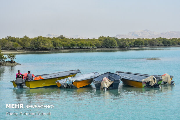 Qeshm Island warmly welcomes tourists who scape winter’s cold