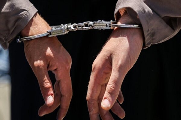 دستگیری ۱۳ سارق در اسدآباد/ خودروی حامل زرشک قاچاق توقیف شد
