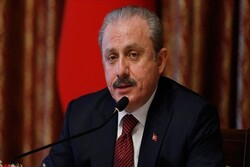 رئیس مجلس ترکیه: ترور شهید «فخری زاده» یک اقدام تروریستی بود