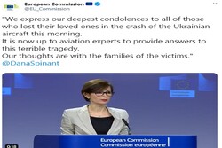 ابراز همدردی کمیسیون اروپا با خانواده قربانیان حادثه سقوط هواپیما