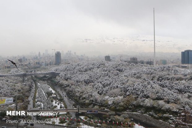Snowy Tehran
