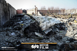 فيديو يظهر "احتراق المحرك" في طائرة الركاب الأوكرانية