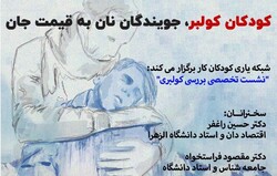 نشست تخصصی بررسی کولبری برگزار می شود