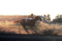 10th week of horse racing competitions in N Iran