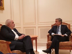 ظریف با وزیر خارجه کانادا دیدار کرد/ رایزنی درباره سقوط هواپیمای اوکراینی