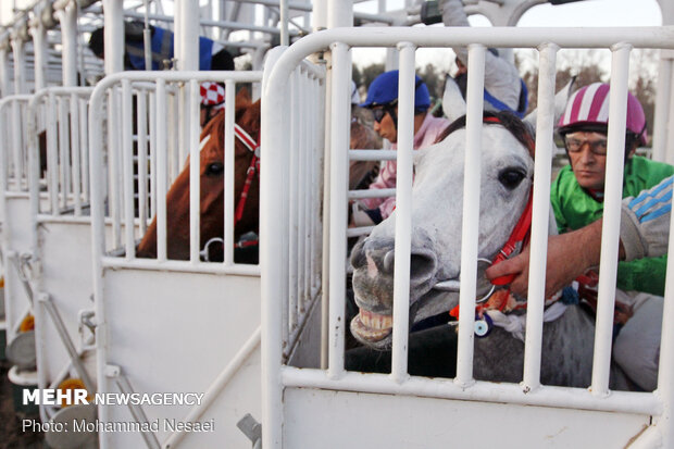 10th week of Gonbad horse racing competitions