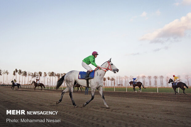 10th week of Gonbad horse racing competitions