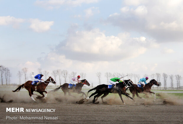 10th week of Gonbad horse racing competitions