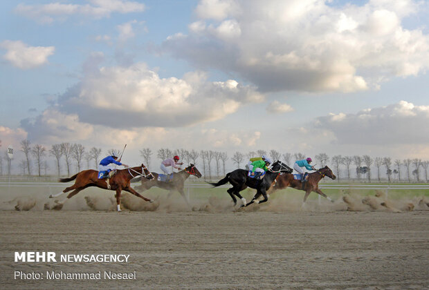 10th week of Gonbad horse racing competitions