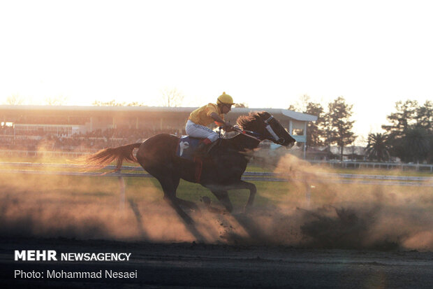 10th week of Gonbad horse racing competitions