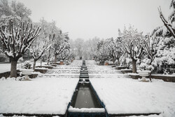 هطول الثلوج في طهران/صور