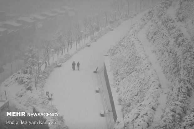هطول الثلوج في طهران
