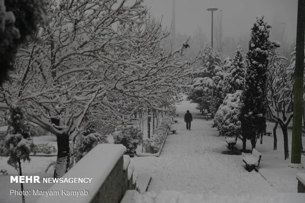 بارش برف زمستانی در تهران