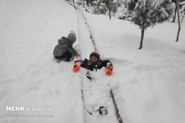 بارش برف زمستانی در تهران