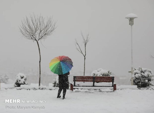 بارش برف و باران در کرمانشاه/ هشدار وقوع یخبندان